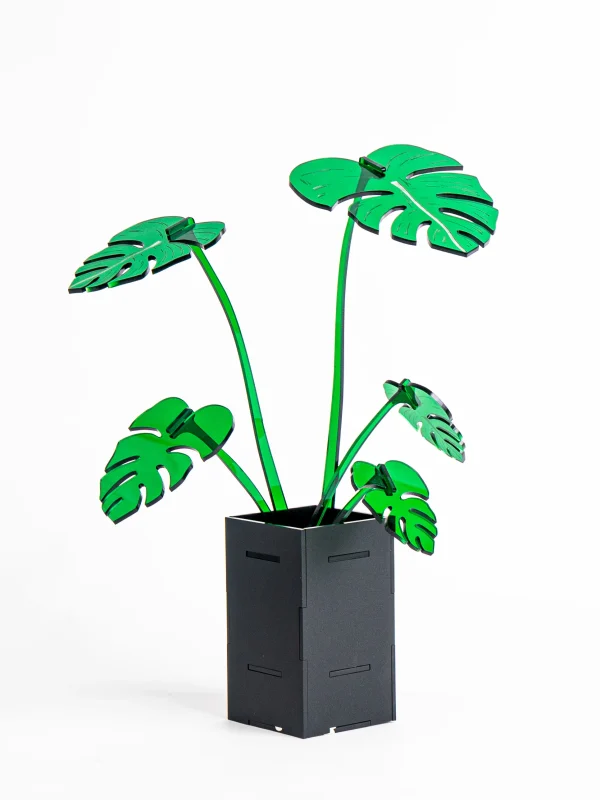 壓克力龜背芋_FLUX_200